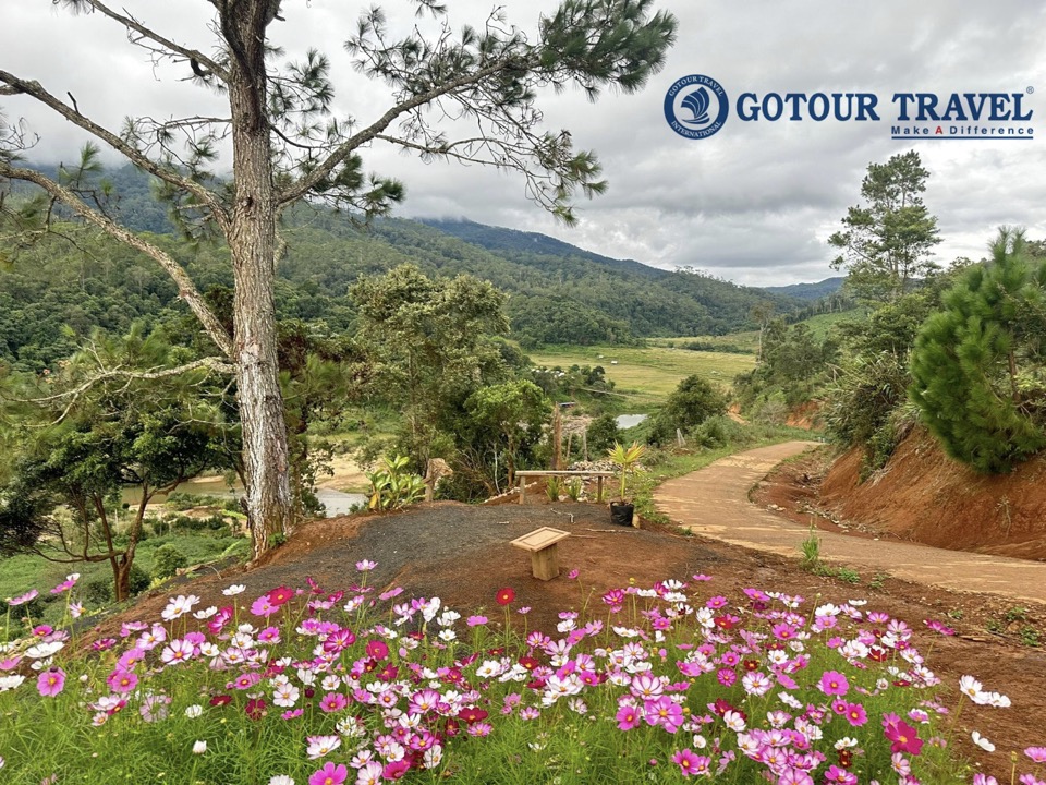 Chính sách bảo mật