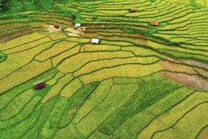 Tour Măng Đen 1 ngày – đón trả Măng Đen