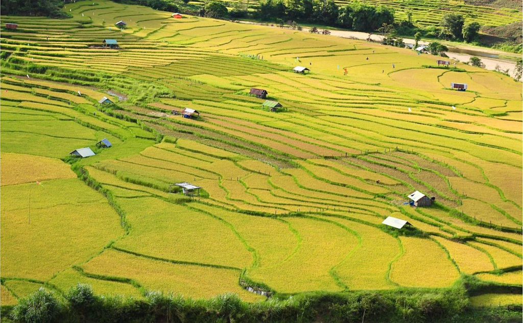 Ruộng bậc thang tại Kon Tu Rằng