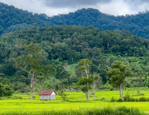 Tour trekking thác K50 và VQG Kon Ka Kinh