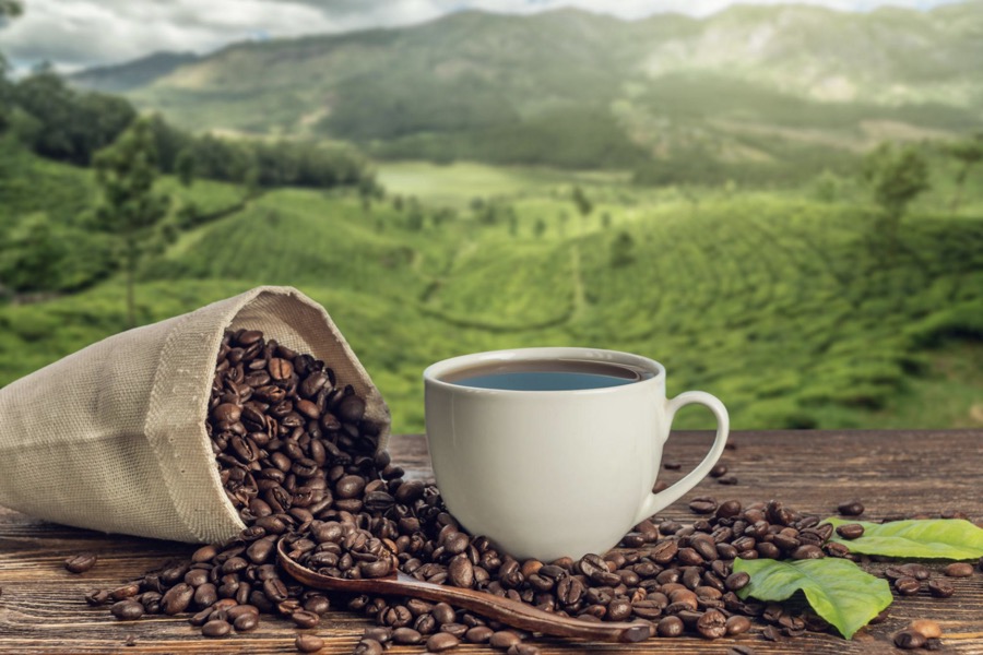 Thưởng thức ly cà phê tại Măng Đen